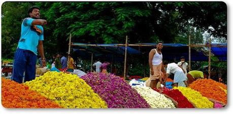 Pookalam Flowers for Sale