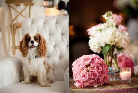 Invite Your Beloved Pet to Your wedding