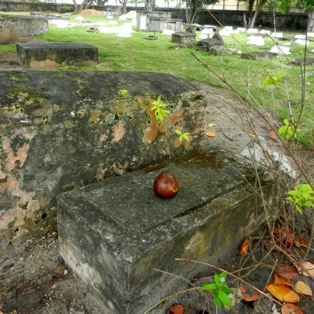 Military Cemetery, Barbados