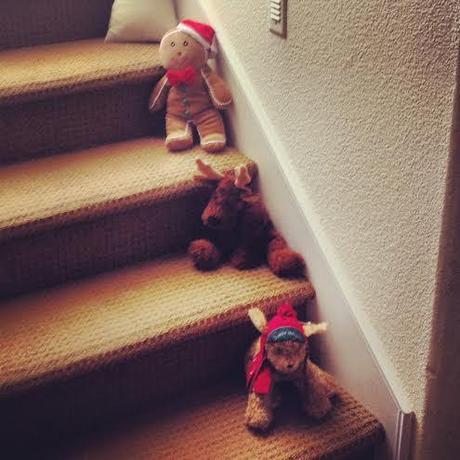 These fellas are ready for Christmas. Are you?