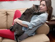 Meet Catasaurus Giant 3-Foot-Long Weighs Pounds