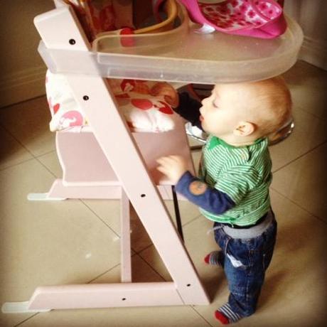 Super Speedy Zachary - 48/365 Super Speedy Zachary - 48/365