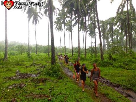 Discovering Jabuyo Falls Discovering Jabuyo Falls