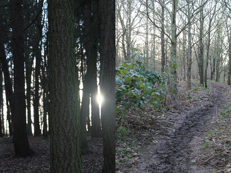 First Weekend of February First Weekend of February