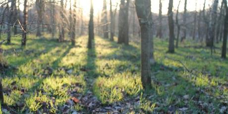 First Weekend of February First Weekend of February