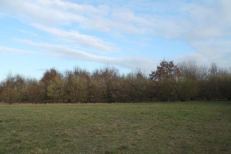 First Weekend of February First Weekend of February