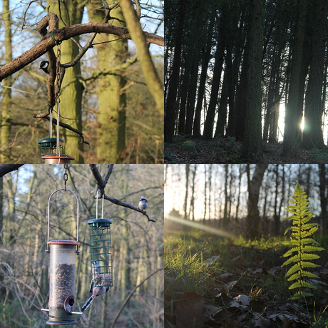 First Weekend of February First Weekend of February