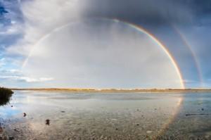 The Realization Of What You’ve Missed Image courtesy of Evgeni Dinev