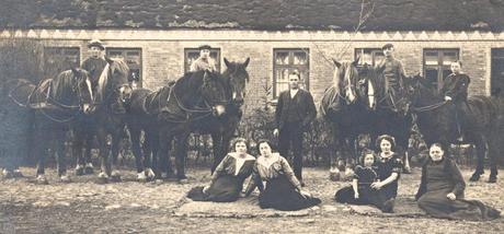 Our family farm around 1910. My grandfather a young boy, sitting on a black horse.