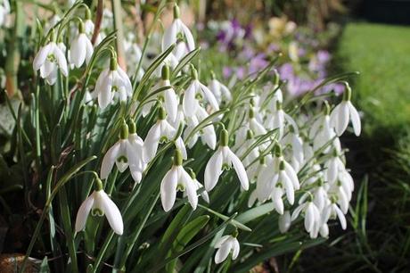 February Days February Days