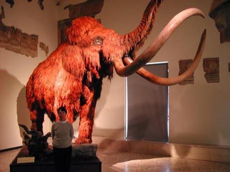 BERGAMO, ITALY: Pterosaurs and Mammoths at the Museum of Natural Science