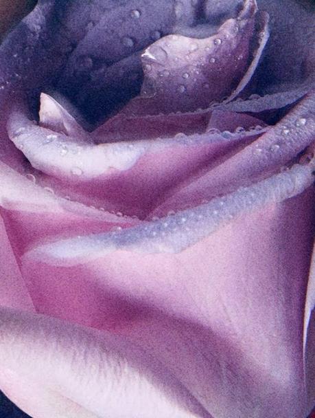 Elisabeth Erm for Dior Magazine Spring 2014 Elisabeth Erm for Dior Magazine Spring 2014