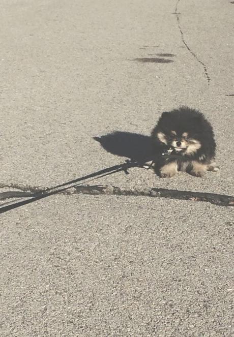 Slowing Down Slowing Down