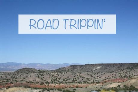 tips for a one way us road trip rental car NZMUSE ROAD TRIPPIN USA