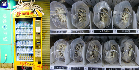 Bilderesultat for crab vending machine
