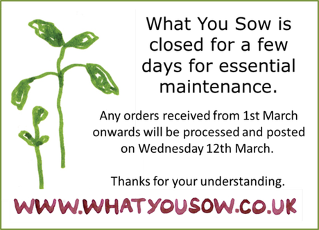 What You Sow closed until 12th March.