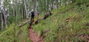 The Complete Guide to Mountain Biking for Beginners divide