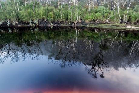 reflections in dark water of miranda creek wilsons promontory