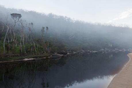 mist over miranda creek wilsons promontory