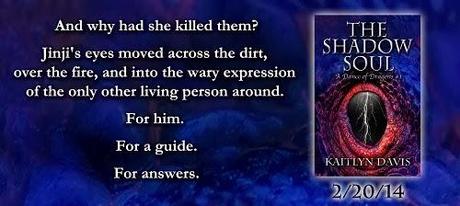 The Shadow Soul by Kaitlyn Davis: Spotlight and Excerpt