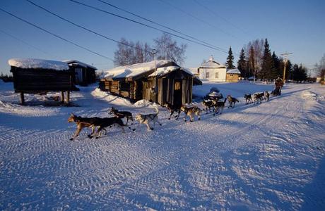 Iditarod 2014: Buser Leads Into Nikolai