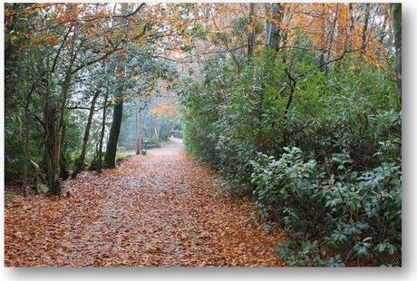 What do Van Morrison, The Godfather of Punk, and Seamus Heaney have in Common? titanic-ireland (4)