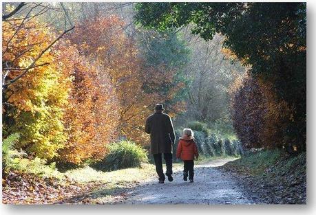 What do Van Morrison, The Godfather of Punk, and Seamus Heaney have in Common? titanic-ireland (1)