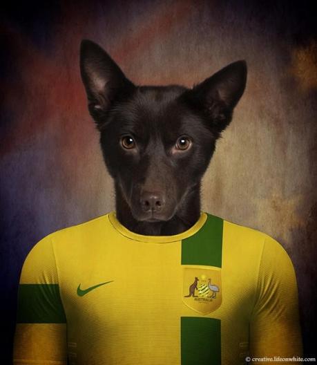 Dogs in National Uniforms australia
