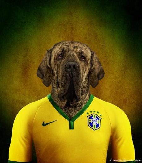 Dogs in National Uniforms brazil