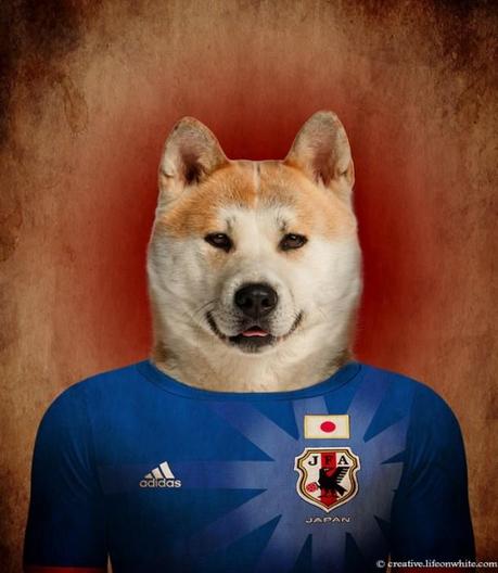 Dogs in National Uniforms japan