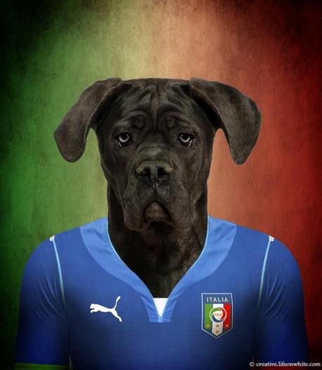 Dogs in National Uniforms italy
