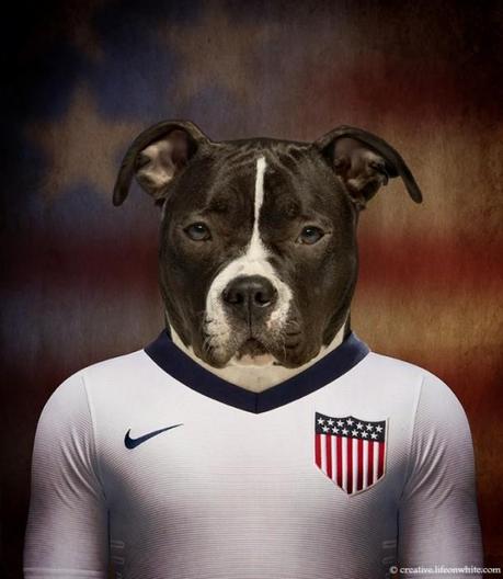 Dogs in National Uniforms US
