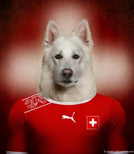 Dogs in National Uniforms swiss