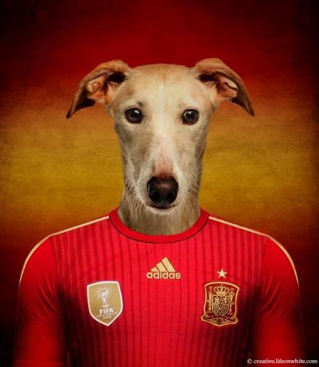 Dogs in National Uniforms spain