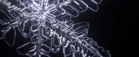 Stunnning Time-lapse Video of Snowflakes Forming