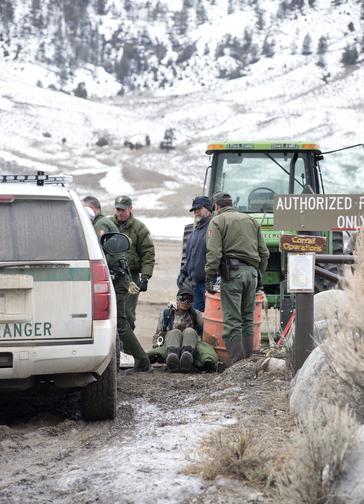 Buffalo Field Campaign Activist Stops Yellowstone Bison Slaughter in Breathtaking Blockade comfreyjacobs002jpg-3183803_p9