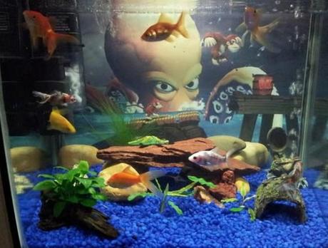 The World’s Top 10 Best Themed Fish Tanks