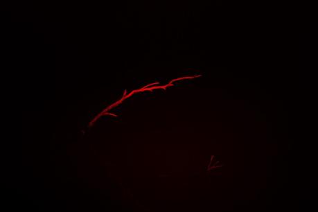 Red light on water at burnt gully red light on stick at night