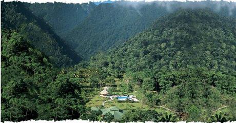 Honduras: When Conservation Goes Too Far rainforest