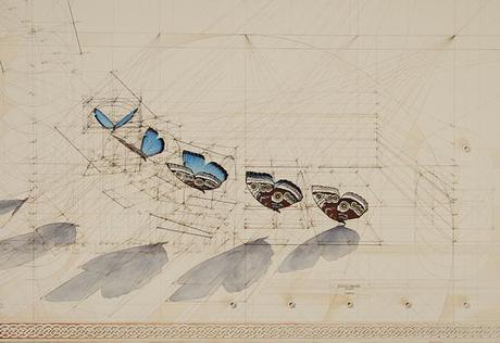 Geometrical Wonders by Rafael Araujo rafael araujo