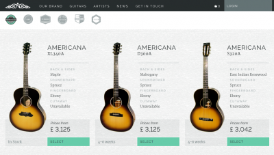 Top 10 Backpackery Things to do in Newtownards, Northern Ireland: The Town Where I was Born! Avalon Guitars, Newtownards.