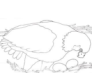 BALD EAGLE AND EGGS Coloring Page