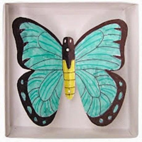Butterfly in a Box