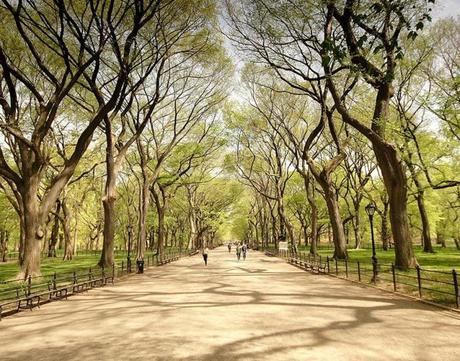 central park new york