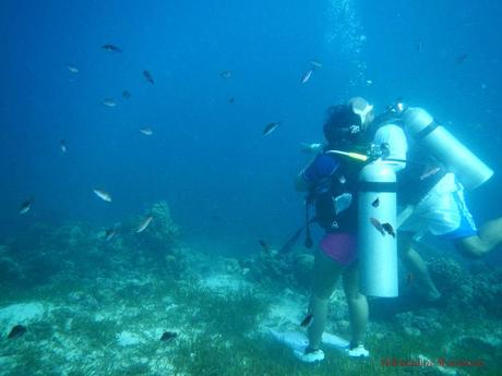 Discover Scuba Diving at Kontiki Dive Resort