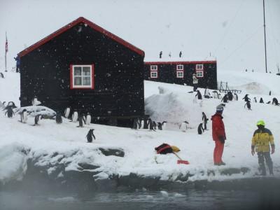 Top 5 Islands in Antarctica port lockroy antarctica