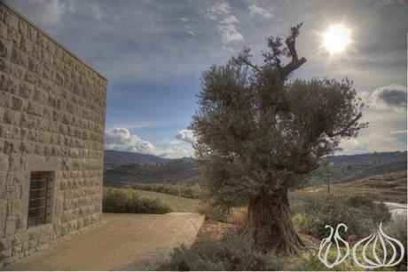 Ixsir_Winery_Batroun_Lebanon13