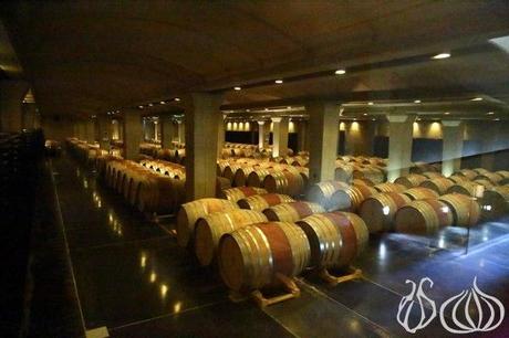 Ixsir_Winery_Batroun_Lebanon55