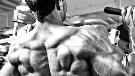 Simple workouts to have a great back