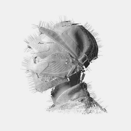 Woodkid Woodkid covers Adele